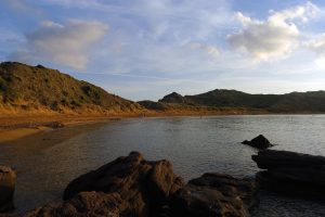 Cavalleria