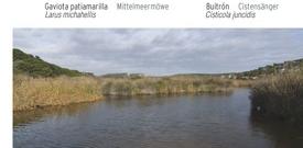 Albufera de Es Grau -- percurso ornitológico