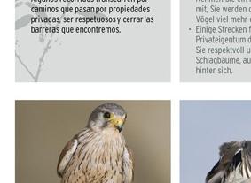Barranc d'Algendar -- percurso ornitológico